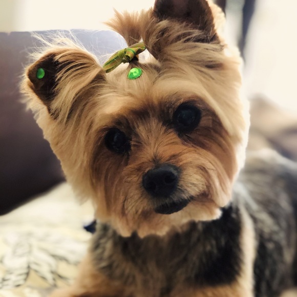 Meet your Posher, CK - Picture 1 of 1